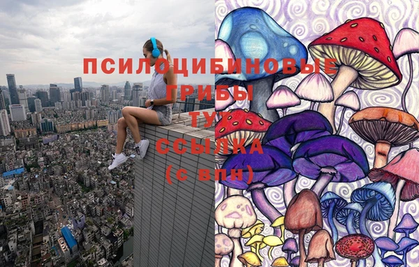 спиды Абдулино