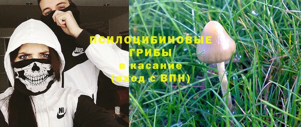 спиды Абдулино