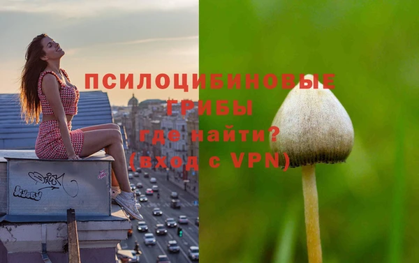 скорость Абаза