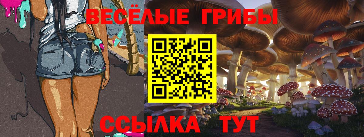 Псилоцибиновые грибы Psilocybe Алапаевск