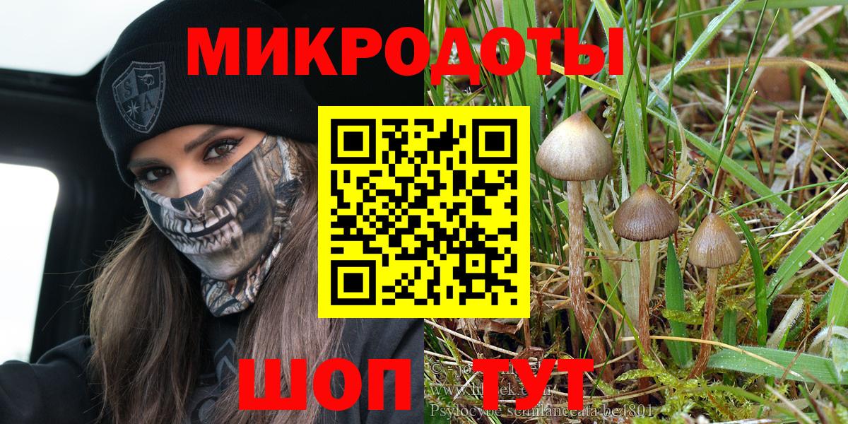 Галлюциногенные грибы мицелий  Вход с VPN  Алапаевск  Псилоцибиновые грибы мицелий 
